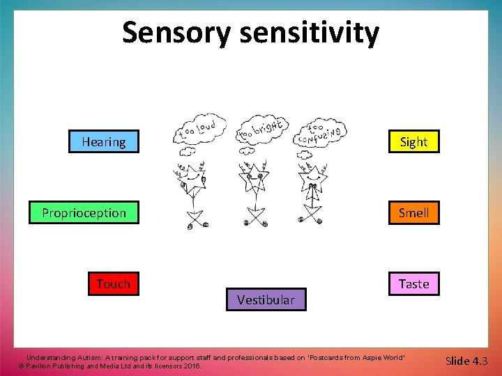 What is autism A range of ways of