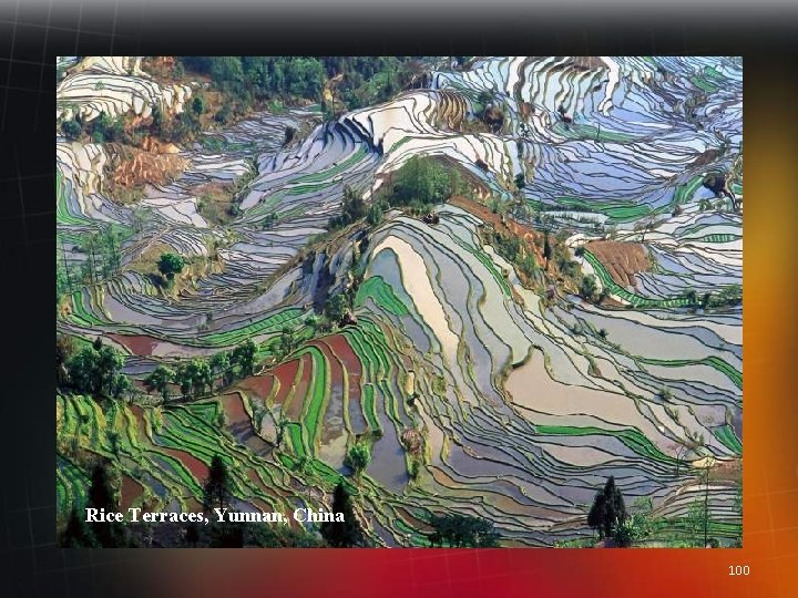 Rice Terraces, Yunnan, China 100 