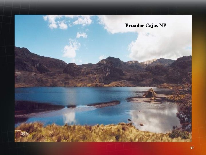Ecuador Cajas NP 39 