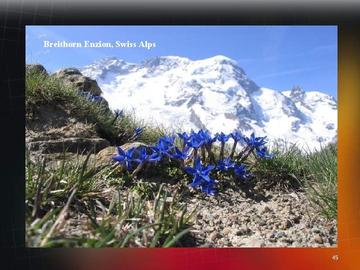 Breithorn Enzion, Swiss Alps 45 