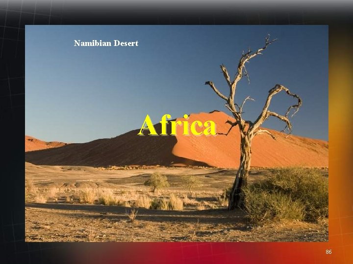 Namibian Desert Africa 86 