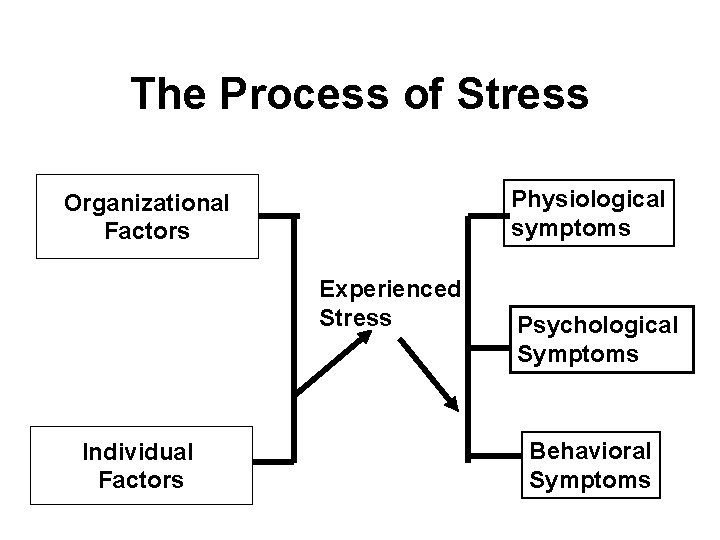The Process of Stress Physiological symptoms Organizational Factors Experienced Stress Individual Factors Psychological Symptoms