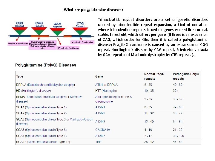 What are polyglutamine diseases? Trinucleotide repeat disorders are a set of genetic disorders caused