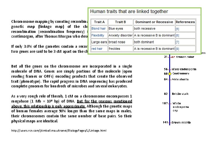 Chromosome mapping by counting recombinant phenotypes produces a genetic map (linkage map) of the