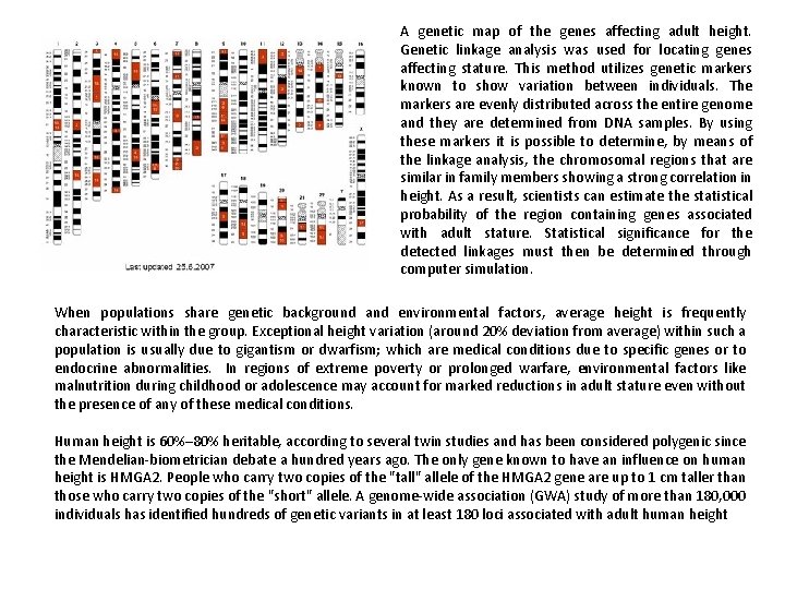 A genetic map of the genes affecting adult height. Genetic linkage analysis was used