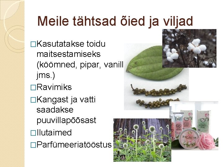 Meile tähtsad õied ja viljad �Kasutatakse toidu maitsestamiseks (köömned, pipar, vanill jms. ) �Ravimiks