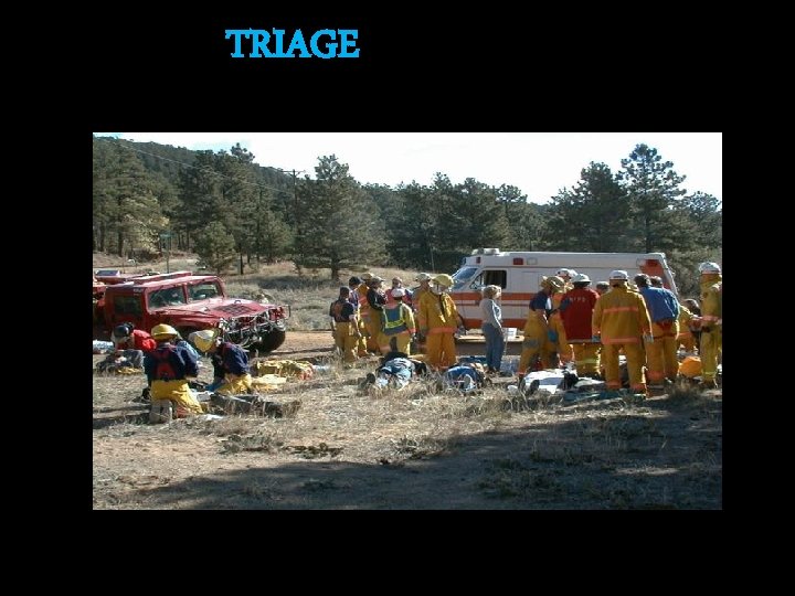 TRIAGE 