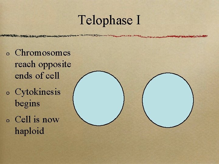 Telophase I Chromosomes reach opposite ends of cell Cytokinesis begins Cell is now haploid