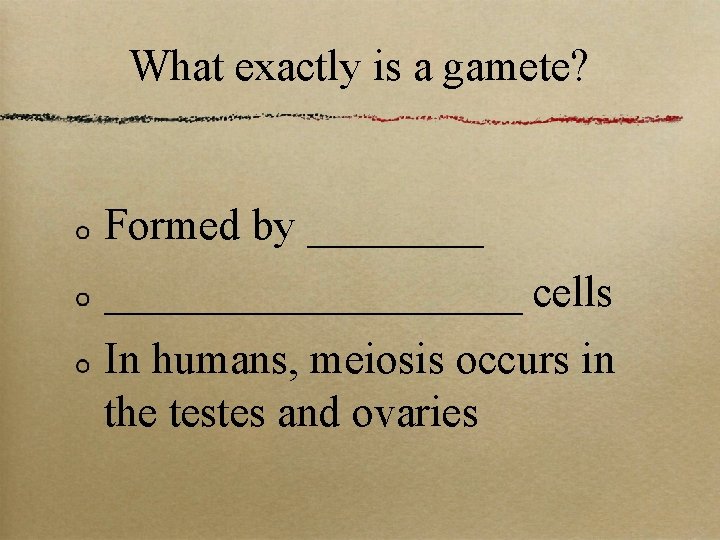 What exactly is a gamete? Formed by ______________ cells In humans, meiosis occurs in