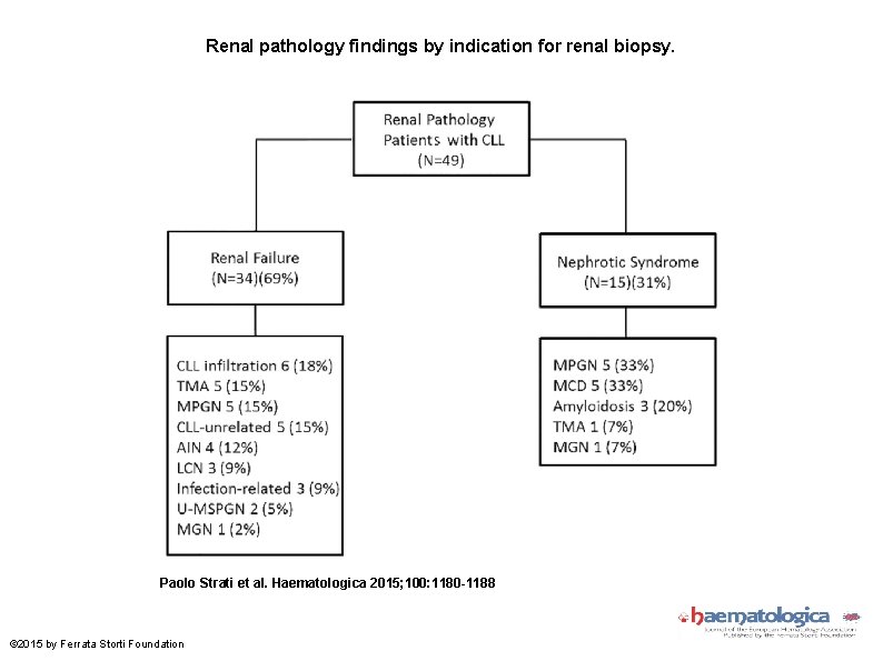 Renal pathology findings by indication for renal biopsy. Paolo Strati et al. Haematologica 2015;