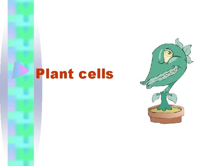 Plant cells 