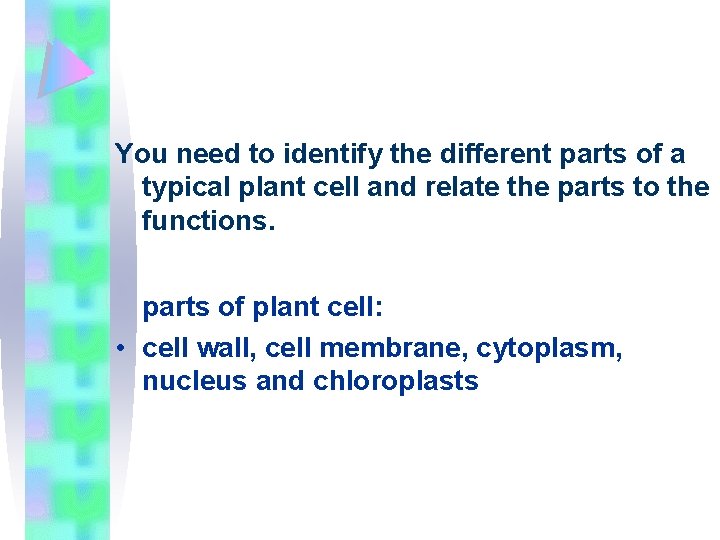 You need to identify the different parts of a typical plant cell and relate