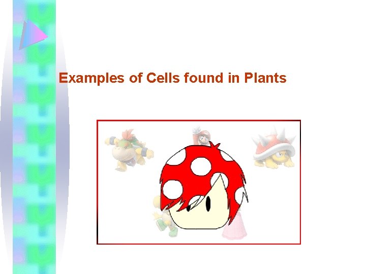 Examples of Cells found in Plants 