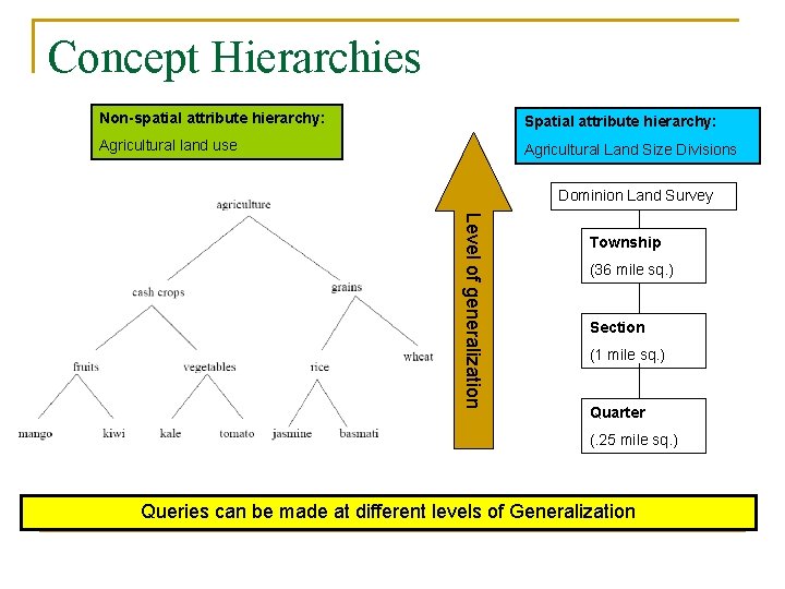 Concept Hierarchies Non-spatial attribute hierarchy: Spatial attribute hierarchy: Agricultural land use Agricultural Land Size