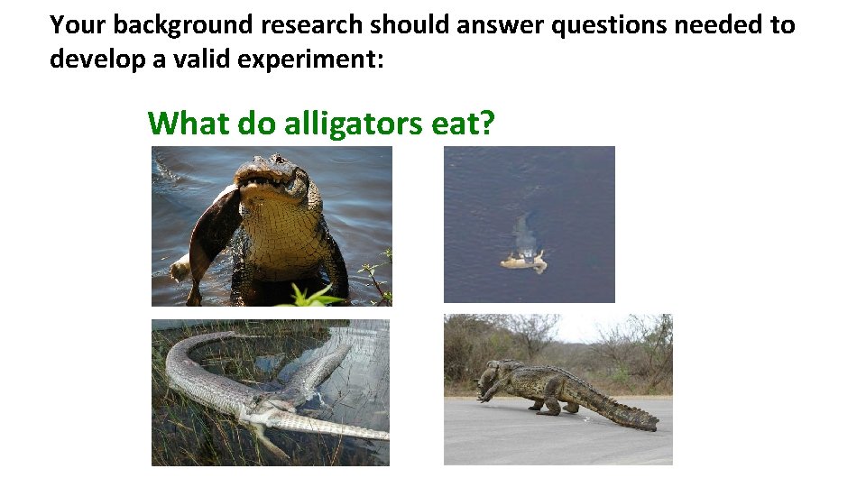 Your background research should answer questions needed to develop a valid experiment: What do