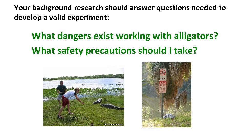 Your background research should answer questions needed to develop a valid experiment: What dangers