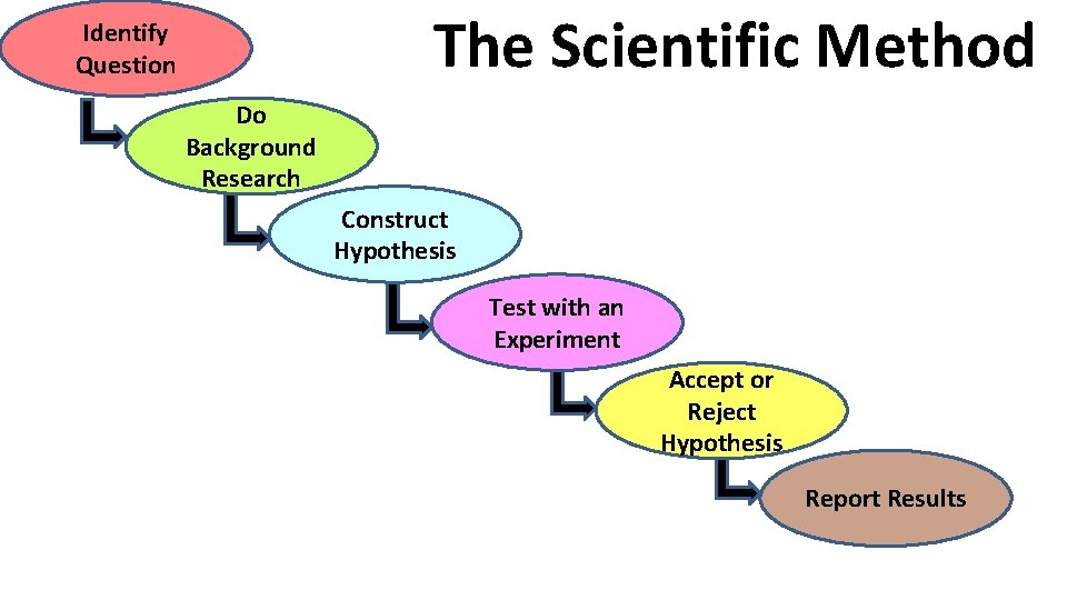 The Scientific Method Identify Question Do Background Research Construct Hypothesis Test with an Experiment