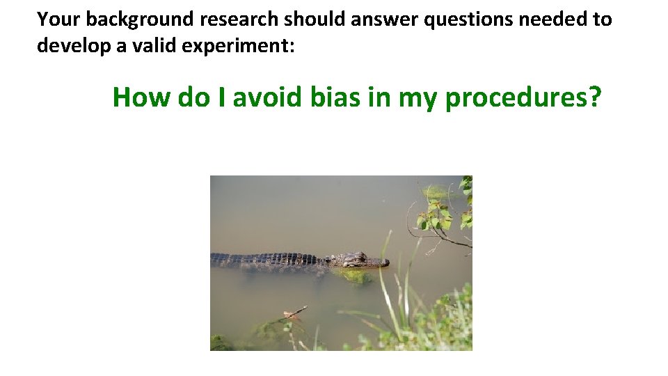 Your background research should answer questions needed to develop a valid experiment: How do