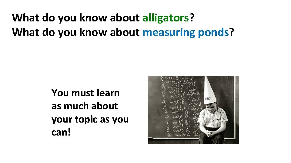 What do you know about alligators? What do you know about measuring ponds? You