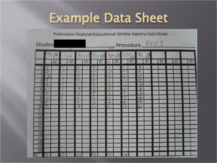 Example Data Sheet 