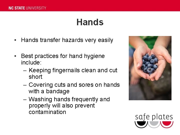 Hands • Hands transfer hazards very easily • Best practices for hand hygiene include: