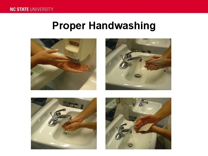 Proper Handwashing 