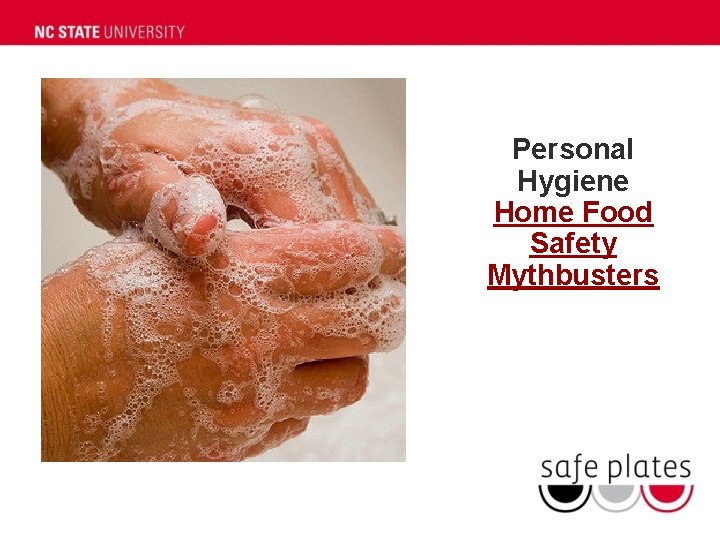 Personal Hygiene Home Food Safety Mythbusters 