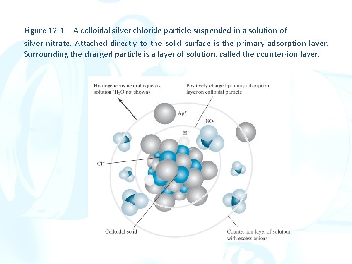 Figure 12 -1 A colloidal silver chloride particle suspended in a solution of silver