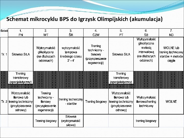 Schemat mikrocyklu BPS do Igrzysk Olimpijskich (akumulacja) 