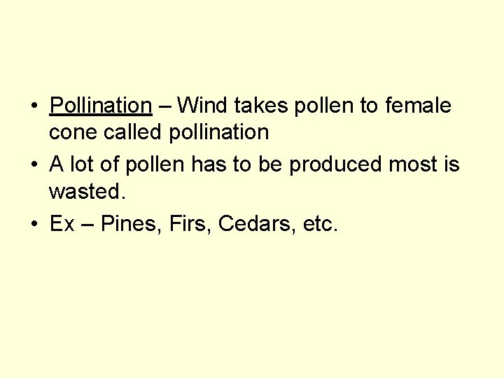  • Pollination – Wind takes pollen to female cone called pollination • A