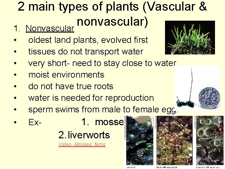 2 main types of plants (Vascular & nonvascular) 1. Nonvascular • • oldest land