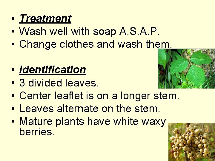  • Treatment • Wash well with soap A. S. A. P. • Change