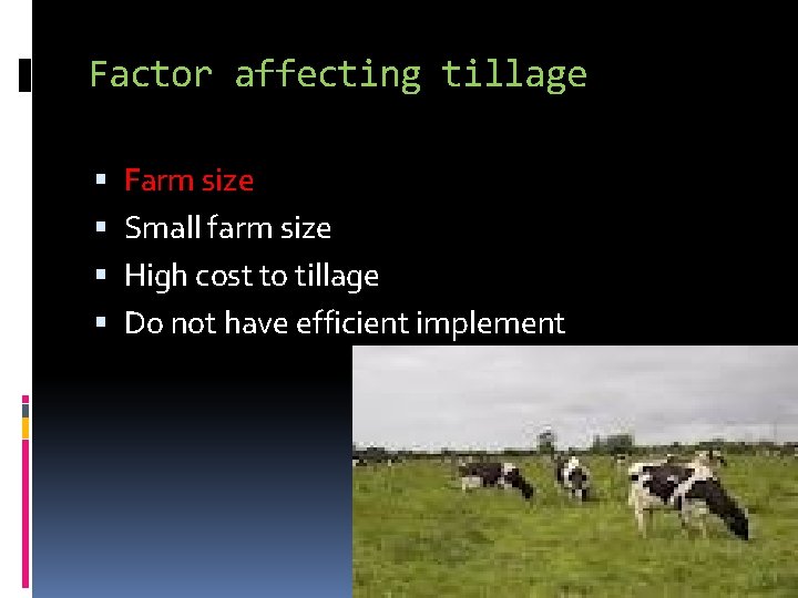 Factor affecting tillage Farm size Small farm size High cost to tillage Do not