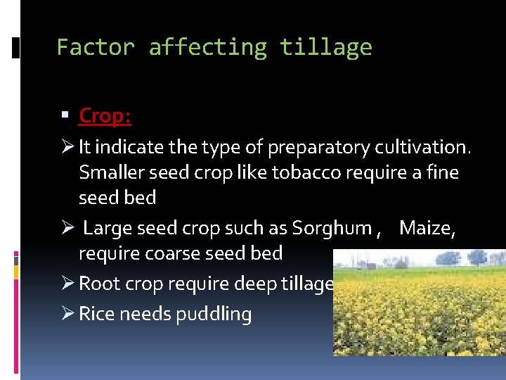 Factor affecting tillage Crop: Ø It indicate the type of preparatory cultivation. Smaller seed