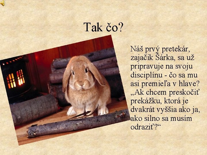 Tak čo? Náš prvý pretekár, zajačik Šárka, sa už pripravuje na svoju disciplínu -