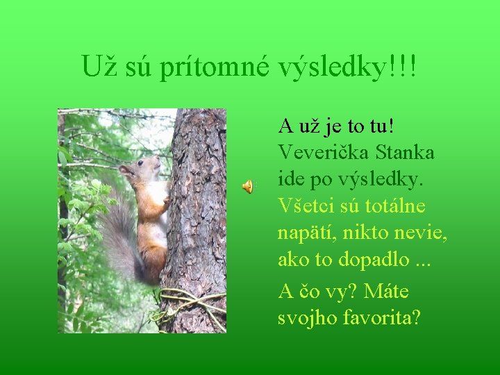 Už sú prítomné výsledky!!! A už je to tu! Veverička Stanka ide po výsledky.