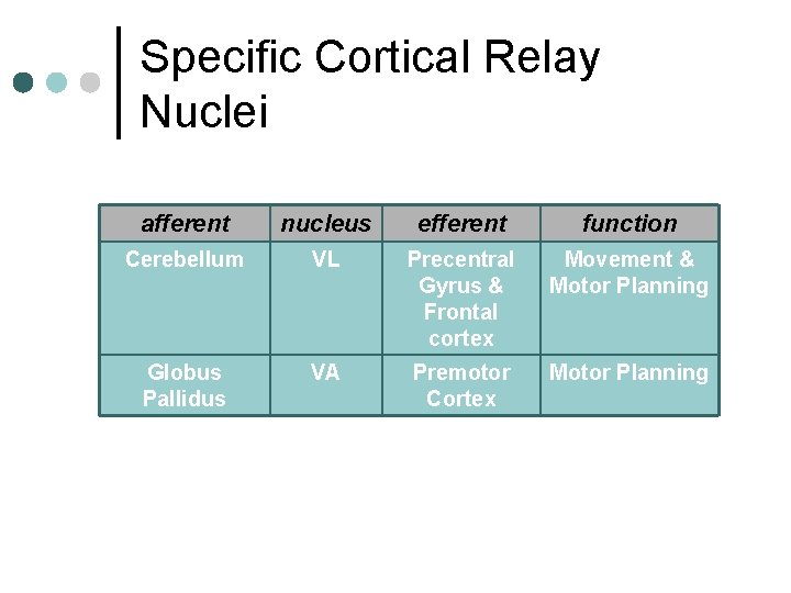 Specific Cortical Relay Nuclei afferent nucleus efferent function Cerebellum VL Precentral Gyrus & Frontal