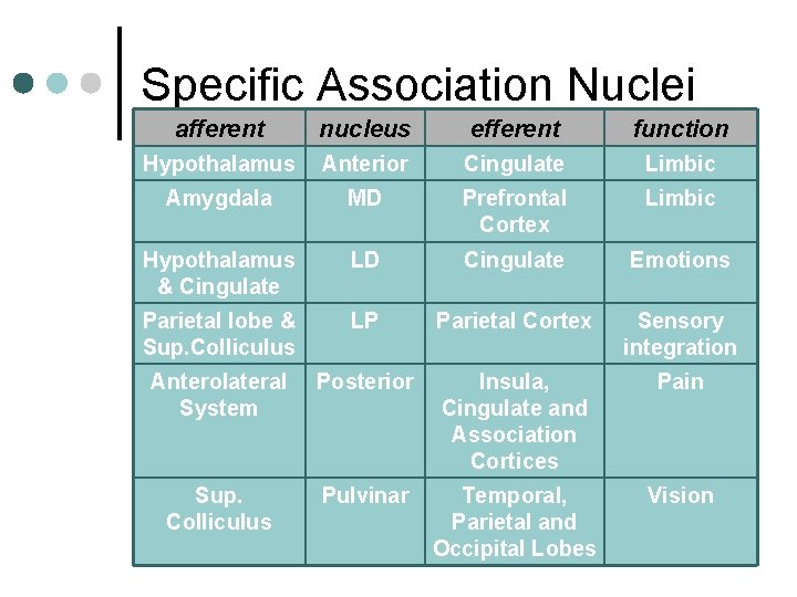 Specific Association Nuclei afferent nucleus efferent function Hypothalamus Anterior Cingulate Limbic Amygdala MD Prefrontal