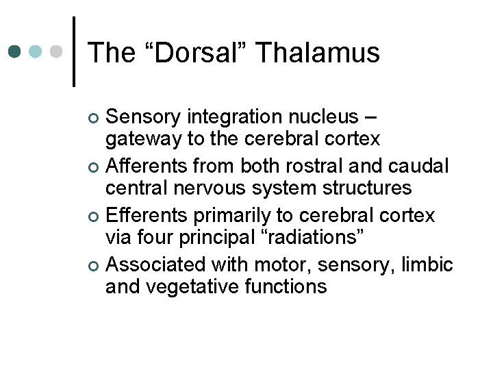 The “Dorsal” Thalamus Sensory integration nucleus – gateway to the cerebral cortex ¢ Afferents