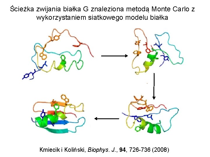 Ścieżka zwijania białka G znaleziona metodą Monte Carlo z wykorzystaniem siatkowego modelu białka Kmiecik