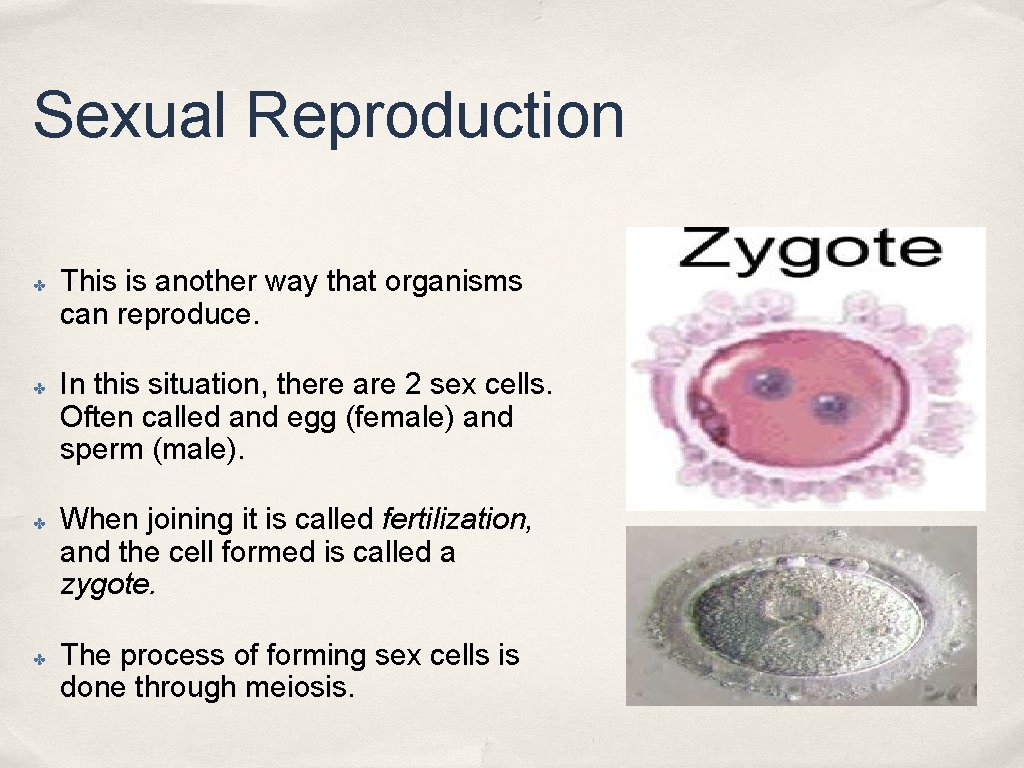 Sexual Reproduction ✤ ✤ This is another way that organisms can reproduce. In this Sexual Reproduction ✤ ✤ This is another way that organisms can reproduce. In this