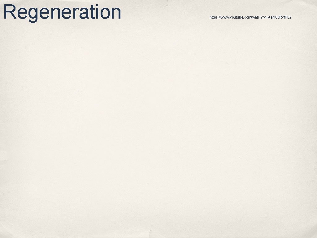 Regeneration https: //www. youtube. com/watch? v=Aa. N 6 u. Rvf. PLY Regeneration https: //www. youtube. com/watch? v=Aa. N 6 u. Rvf. PLY