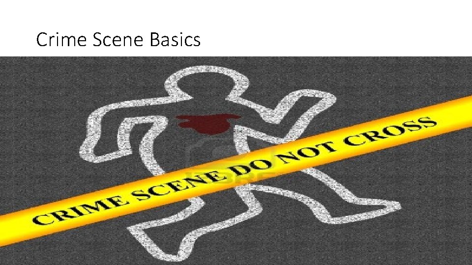 Crime Scene Basics 