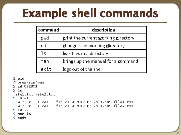 Example shell commands command description pwd print the current working directory cd changes the