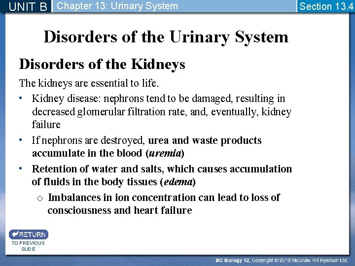 UNIT B Chapter 13: Urinary System Disorders of the Kidneys The kidneys are essential