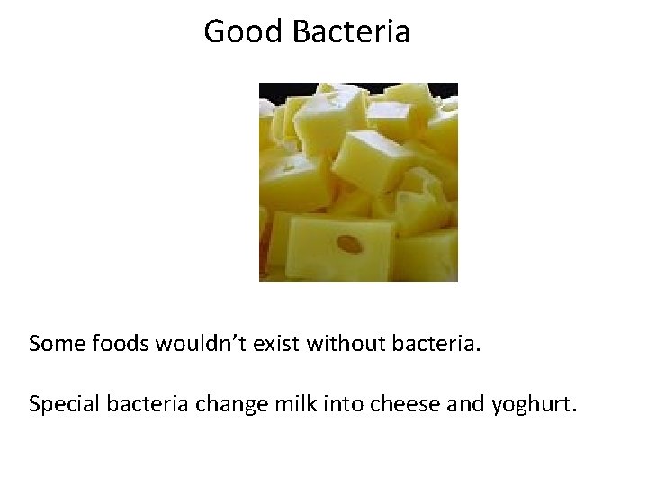 Good Bacteria Some foods wouldn’t exist without bacteria. Special bacteria change milk into cheese