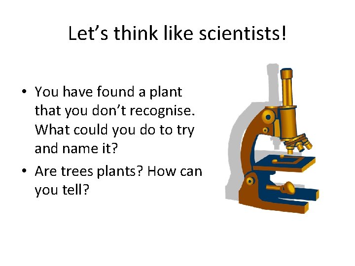 Let’s think like scientists! • You have found a plant that you don’t recognise.