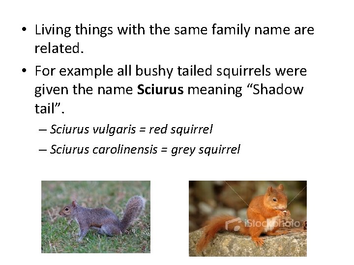  • Living things with the same family name are related. • For example