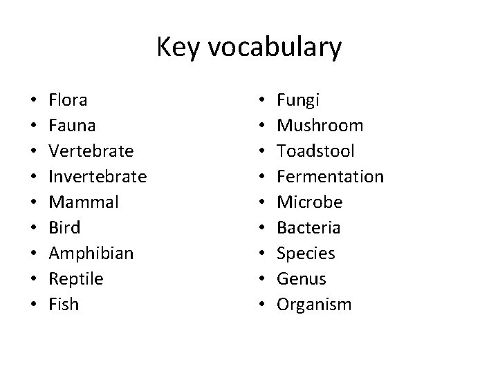 Key vocabulary • • • Flora Fauna Vertebrate Invertebrate Mammal Bird Amphibian Reptile Fish