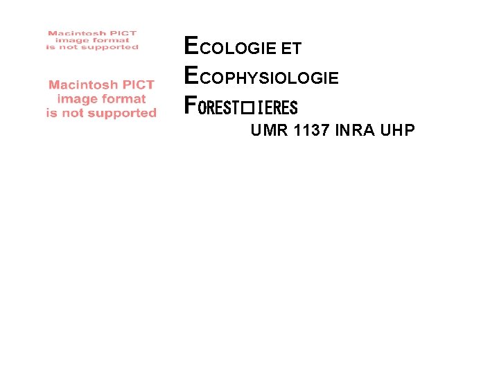 ECOLOGIE ET ECOPHYSIOLOGIE FOREST�IERES UMR 1137 INRA UHP 